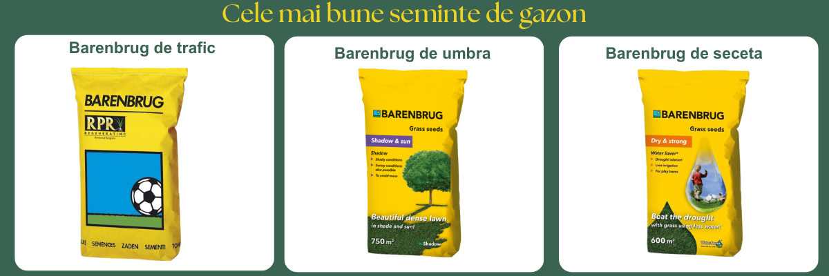 Seminte gazon Barenbrug